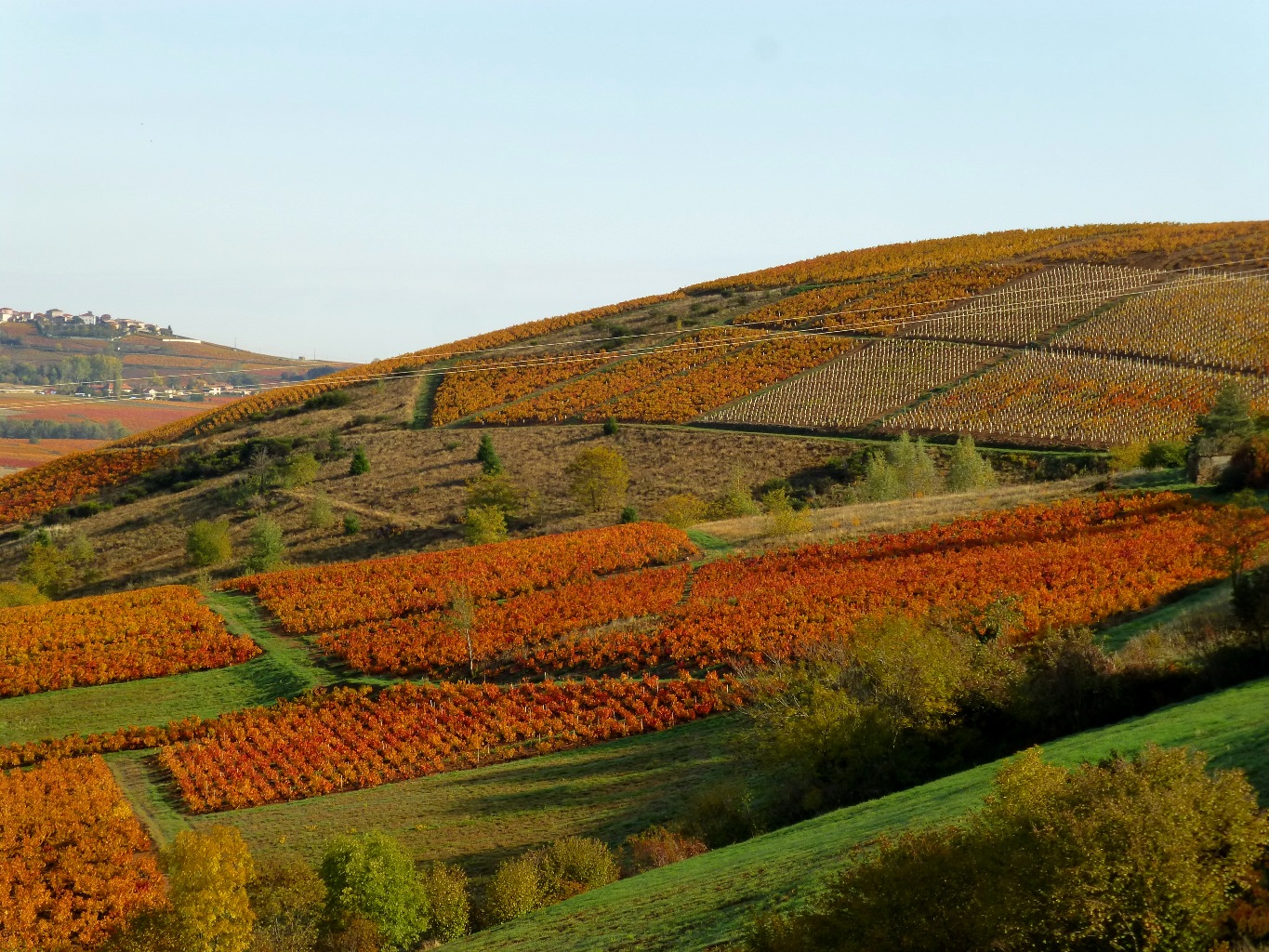 couleur Domaine Lacondemine